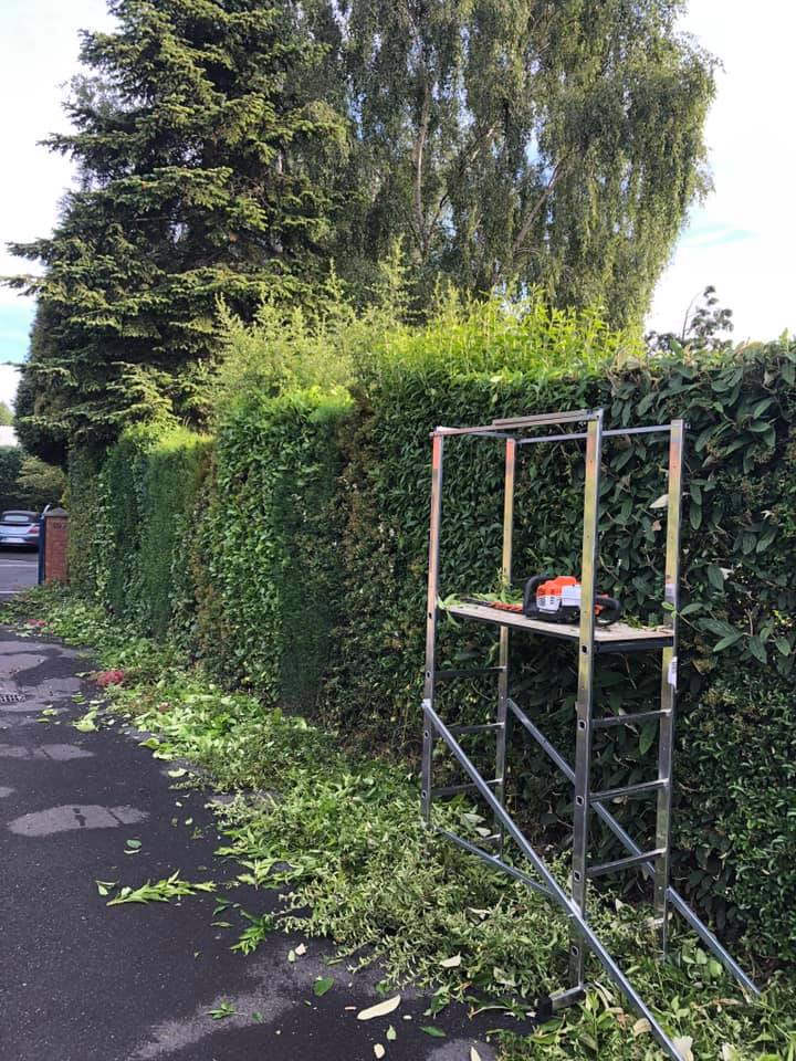allex-home-paysagiste- entretien-jardin-jardinier -taille-de-haie-paysagiste-nord-pas-de-calais